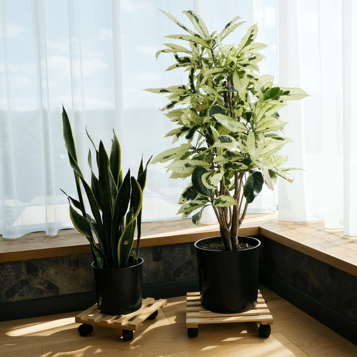 Virágállvány, 2 darab, bambusz, KOSMA